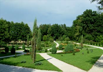 favorite place: Maribor botanic garden 4