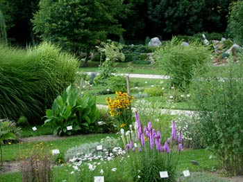 favorite place: Maribor botanic garden 2