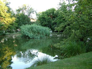 Favorite place - Maribor city park 2