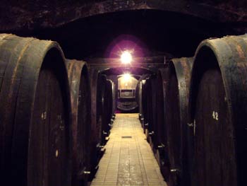 Oak barrels in Vinag wine cellar.