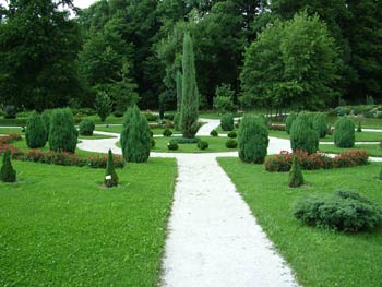 Maribor University botanic garden