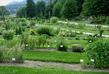 favorite place: Maribor botanic garden 5