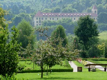 favorite place: Maribor botanic garden 1