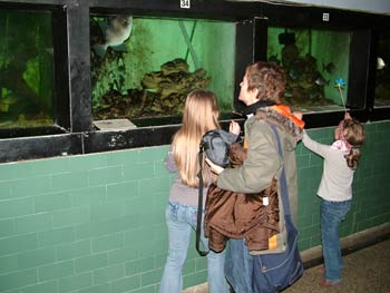 The Maribor Aquarium from inside 