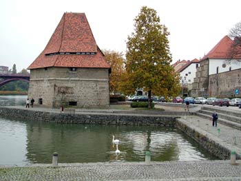 Maribor city guide - Water tower