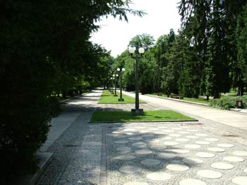 Favorite place - Maribor city park 1