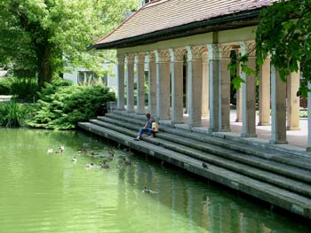 Maribor park - feeding birds