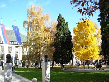 Maribor Slomsek square
