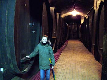 More wooden barrels in Vinag wine cellar.