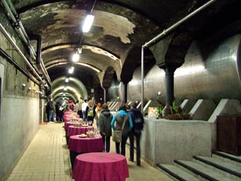Wine tasting tunnel in Vinag wine cellar.