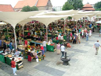 Maribor new open market 1